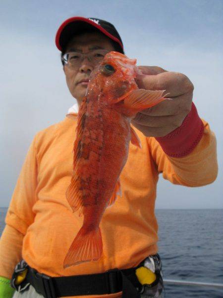 Aquanaut（アクアノート） 釣果