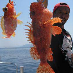 Aquanaut（アクアノート） 釣果