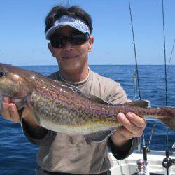 Aquanaut(アクアノート) 釣果