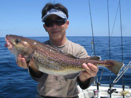 Aquanaut(アクアノート) 釣果