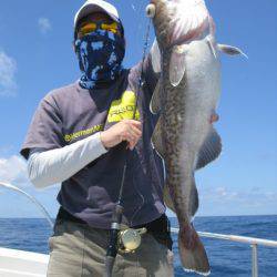 Aquanaut(アクアノート) 釣果