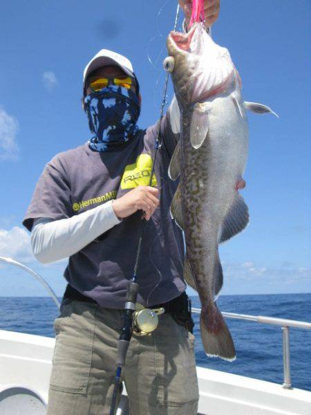 Aquanaut(アクアノート) 釣果