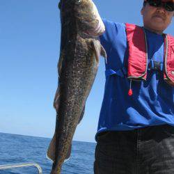 Aquanaut(アクアノート) 釣果