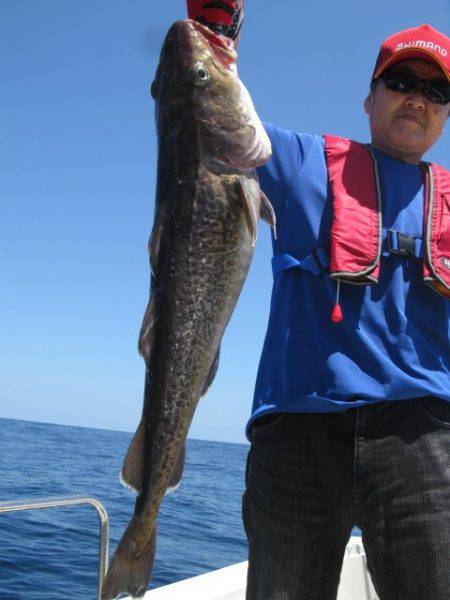 Aquanaut(アクアノート) 釣果