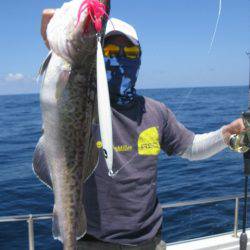 Aquanaut(アクアノート) 釣果