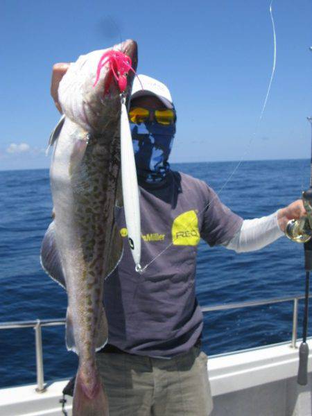 Aquanaut（アクアノート） 釣果