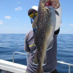 Aquanaut(アクアノート) 釣果