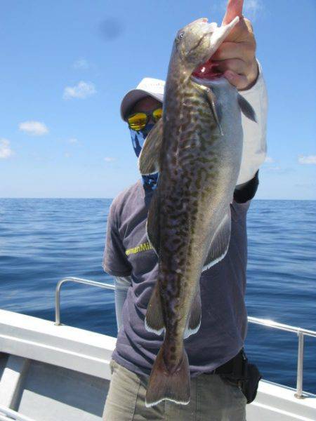 Aquanaut(アクアノート) 釣果