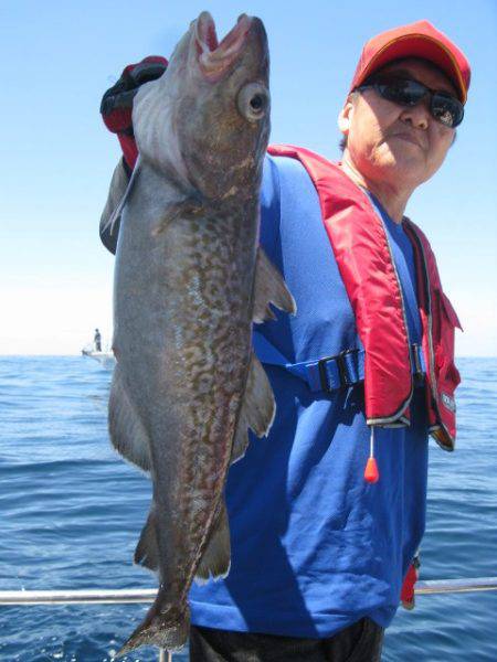 Aquanaut(アクアノート) 釣果