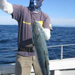 Aquanaut(アクアノート) 釣果