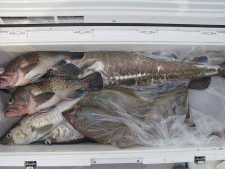 Aquanaut(アクアノート) 釣果