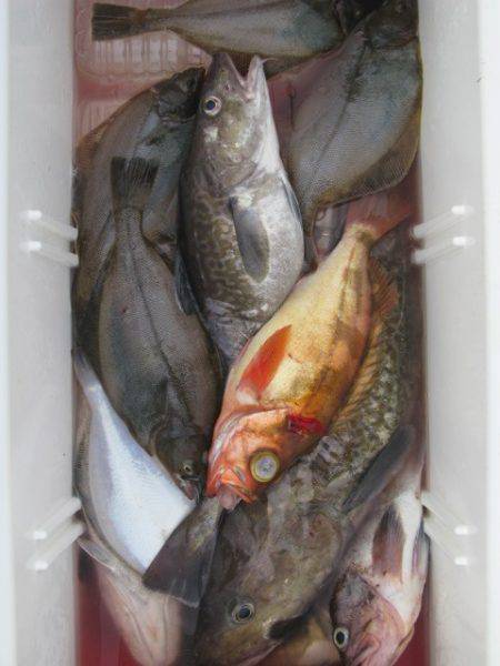 Aquanaut(アクアノート) 釣果