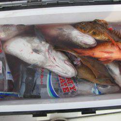 Aquanaut(アクアノート) 釣果