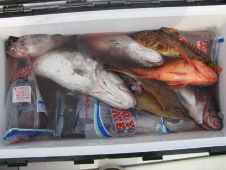 Aquanaut(アクアノート) 釣果