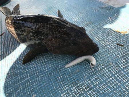 フィッシングガイド45 釣果