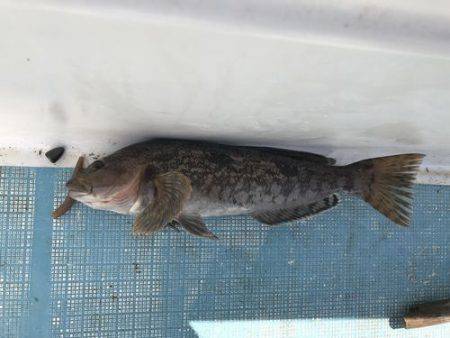 フィッシングガイド45 釣果