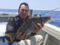 群星・むるぶし 釣果