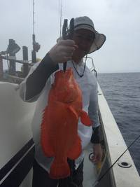 群星・むるぶし 釣果