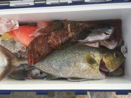 群星・むるぶし 釣果