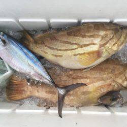 群星・むるぶし 釣果