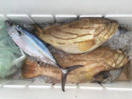 群星・むるぶし 釣果