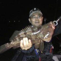 シーマジカル 釣果