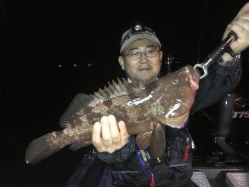 シーマジカル 釣果