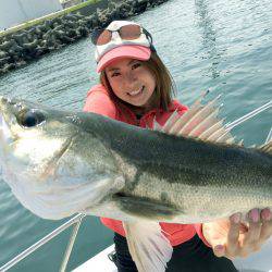 シーバス　フィッシング入門講座