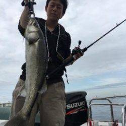 シーマジカル 釣果