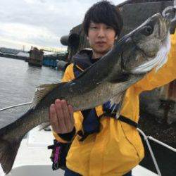 シーマジカル 釣果