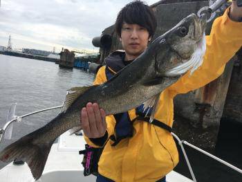 シーマジカル 釣果