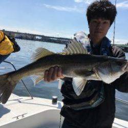 シーマジカル 釣果