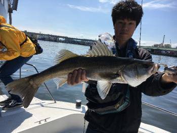 シーマジカル 釣果