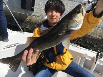 シーマジカル 釣果