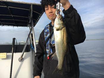 シーマジカル 釣果