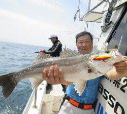 ブルーズ 釣果