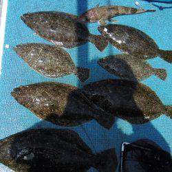 十八宝洋丸 釣果