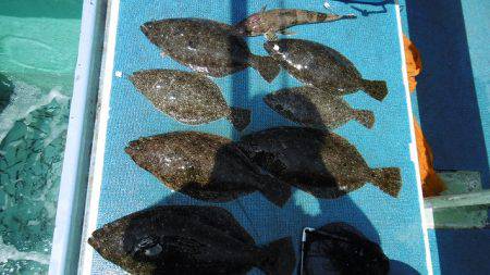 十八宝洋丸 釣果