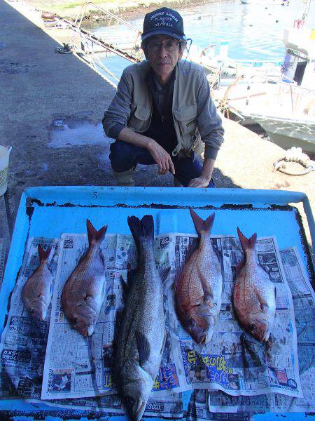 久六釣船 釣果