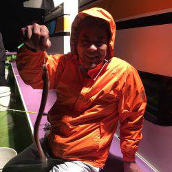 えさ政釣船店 釣果