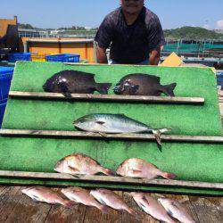 みうら海王 釣果