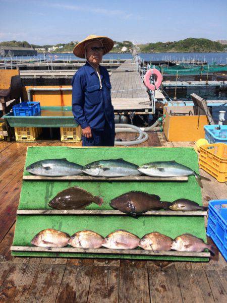 みうら海王 釣果