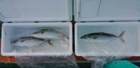 火遠理丸（ほおりまる） 釣果