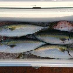 火遠理丸（ほおりまる） 釣果