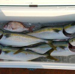 火遠理丸（ほおりまる） 釣果