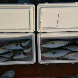 火遠理丸（ほおりまる） 釣果