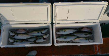 火遠理丸（ほおりまる） 釣果