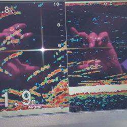 火遠理丸（ほおりまる） 釣果