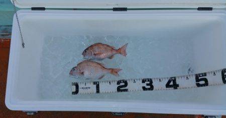 火遠理丸（ほおりまる） 釣果