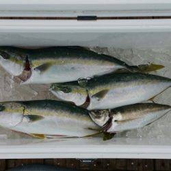 火遠理丸（ほおりまる） 釣果